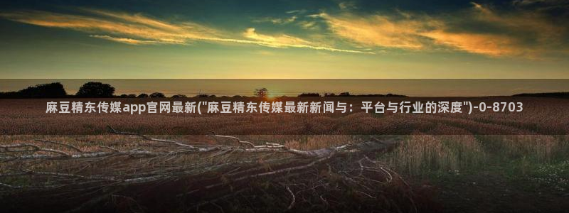 麻豆视频入口导航：麻豆精东传媒app官网最新(\
