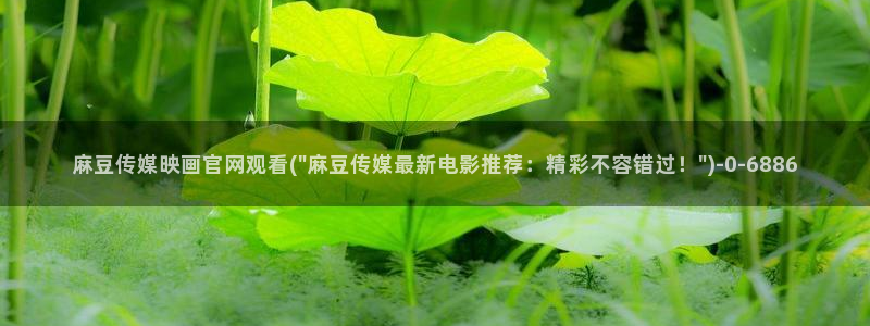 麻豆视频高清推荐：麻豆传媒映画官网观看(\