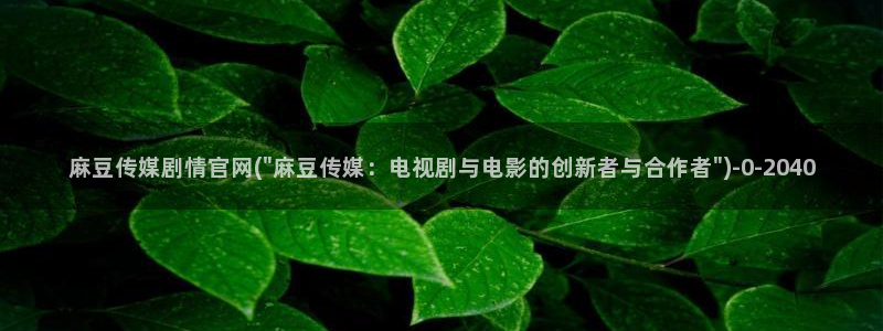 麻豆视频 图集专区：麻豆传媒剧情官网(\