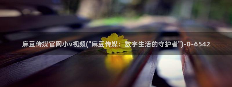 麻豆视频站更新：麻豆传媒官网小v视频(\