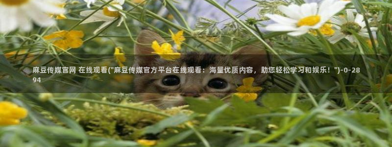 麻豆视频推荐整理：麻豆传媒官网 在线观看(\