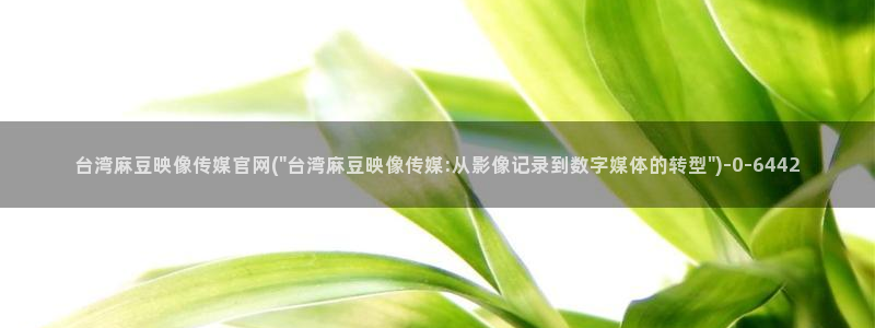 麻豆视频图集页面：台湾麻豆映像传媒官网(\
