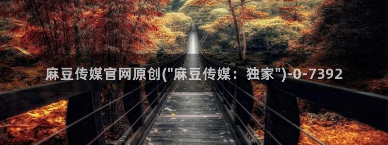 麻豆视频精选更新：麻豆传媒官网原创(\