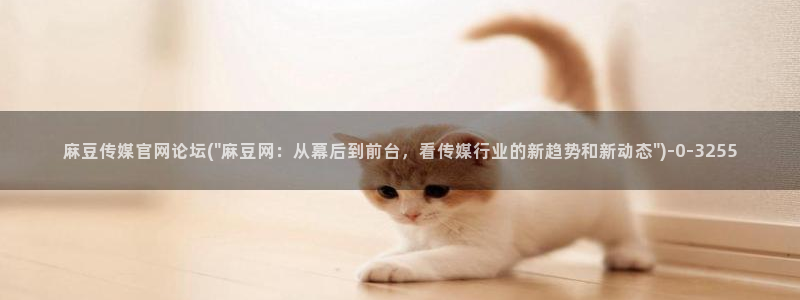 麻豆视频 下载页面：麻豆传媒官网论坛(\
