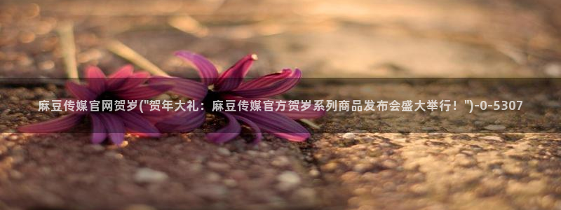 麻豆资源整理：麻豆传媒官网贺岁(\