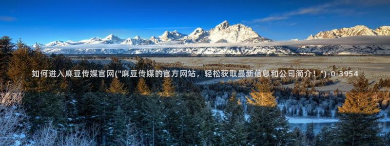 麻豆 在线看最新：如何进入麻豆传媒官网(\