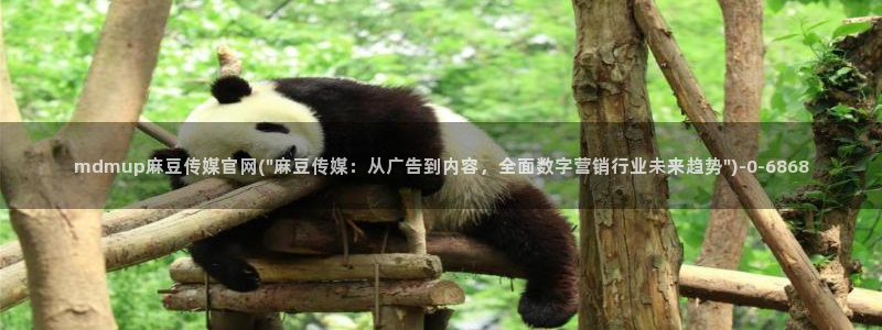 麻豆视频高清：mdmup麻豆传媒官网(\