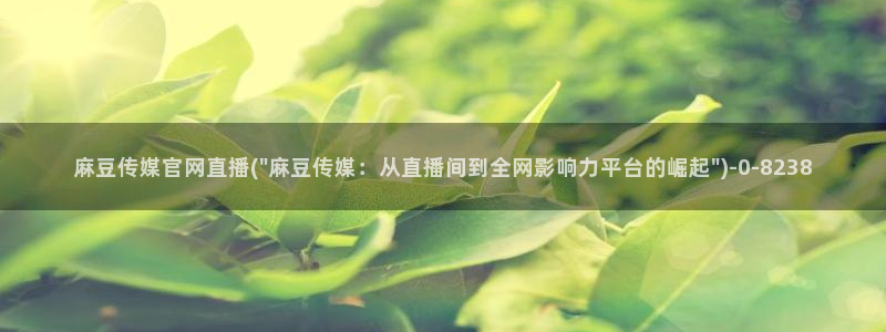 麻豆视频 高清视频：麻豆传媒官网直播(\