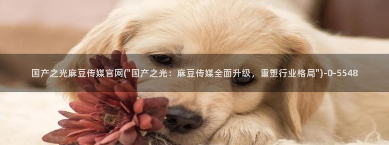 麻豆视频 官方在线看：国产之光麻豆传媒官网(\