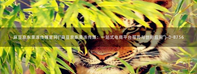麻豆视频入口页面：麻豆京东果冻传媒官网(\