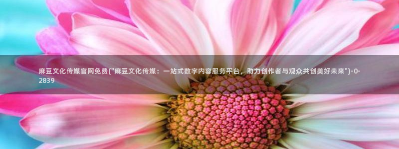 麻豆入口视频：麻豆文化传媒官网免费(\