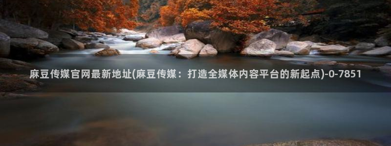 麻豆高清在线看