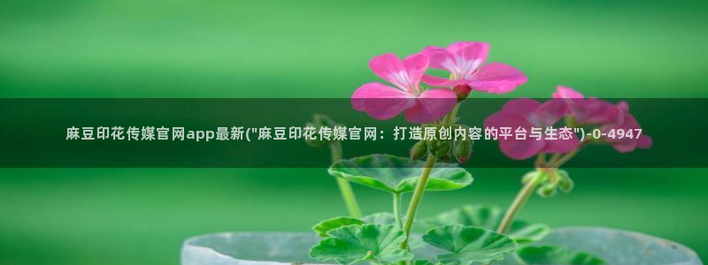 麻豆视频在线看整理